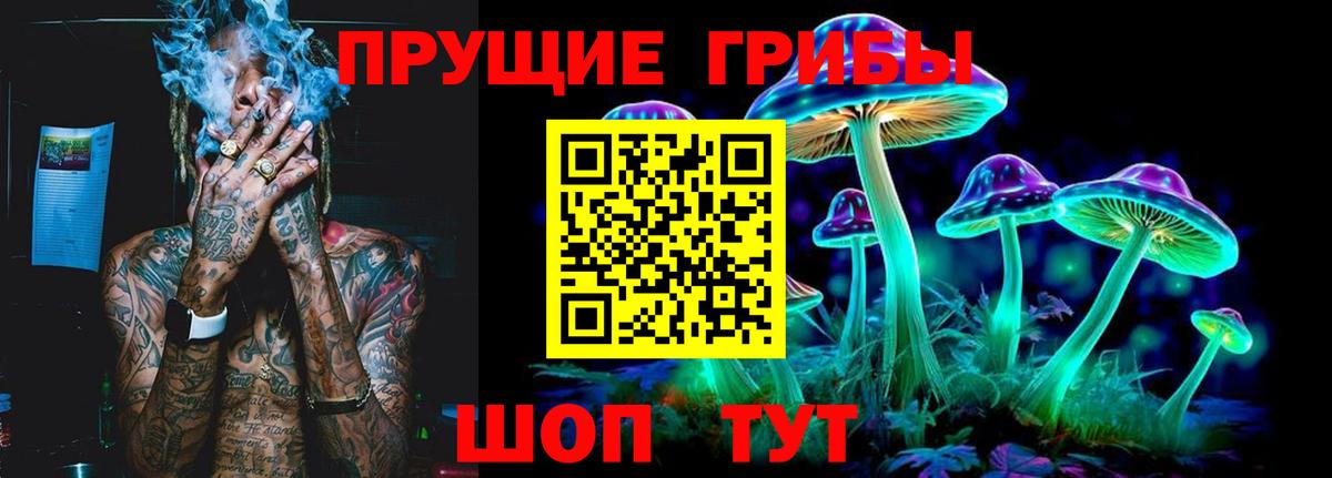 Галлюциногенные грибы MAGIC MUSHROOMS Осинники